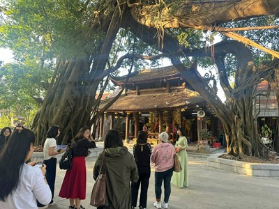 Khơi dậy nguồn lực nội sinh phát triển bền vững