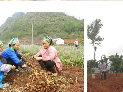 Kỳ 2: Giảm nghèo bền vững – từ ý chí người dân và nguồn lực Nhà nước