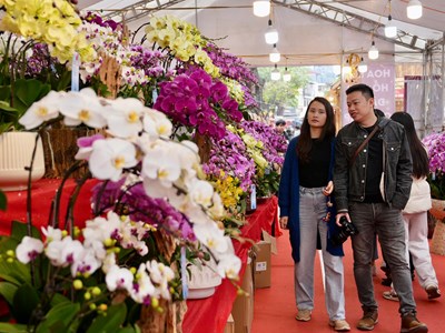 Ngày xuân khám phá chợ hoa lâu đời nhất Hà thành