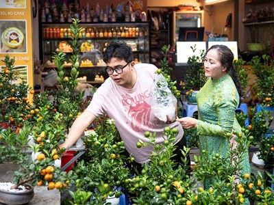 Chợ hoa Xuân Phố cổ 2026 thu hút hơn 30 nghìn lượt khách tham quan, mua sắm