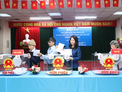 Thứ trưởng Thường trực Lâm Thị Phương Thanh tham gia bầu cử, thực hiện nghĩa vụ công dân