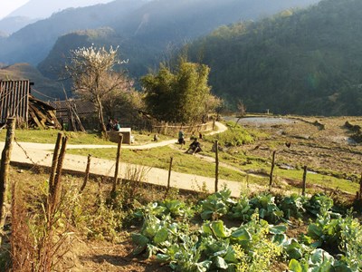 Diện mạo điện ảnh Việt Nam thời Đổi mới qua 17 tác phẩm tiêu biểu