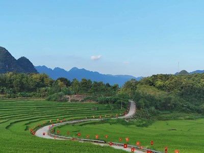 Tò mò vốn dĩ là bản tính của con người