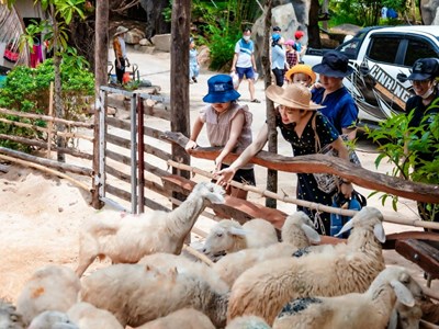 Đảm bảo an toàn cho du khách trong dịp lễ 30.4 - 1.5