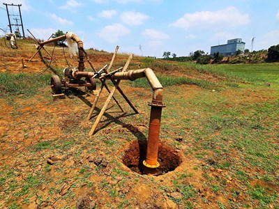 Hạn hán kéo dài nhiều diện tích cây trồng ở Gia Lai khô héo