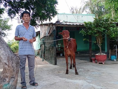 Huyện Ninh Hải triển khai đa dạng sinh kế để người dân thoát nghèo