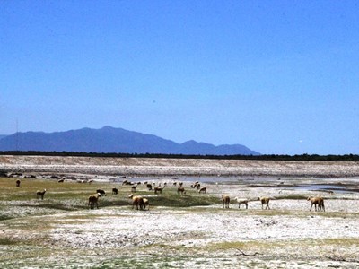 Lên phương án đối phó với hạn hán kéo dài