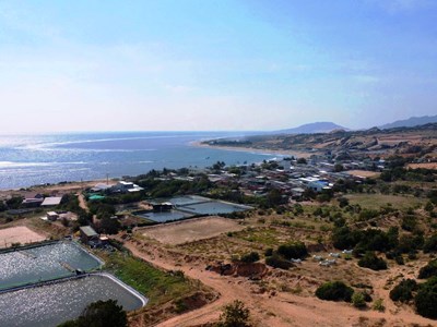 Tiếp tục thực hiện Dự án điện hạt nhân Ninh Thuận, đảm an ninh năng lượng quốc gia