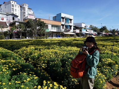 Nghề kể chuyện mà không cần lời