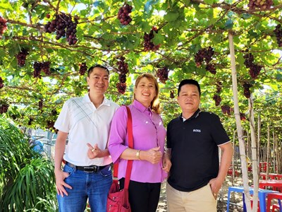 Huyện Ninh Hải dồn lực xây dựng nông thôn mới nâng cao