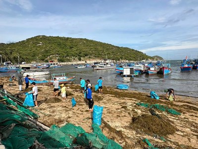 Ninh Thuận: Nông thôn mới Ninh Hải ngày càng sạch đẹp, trong lành