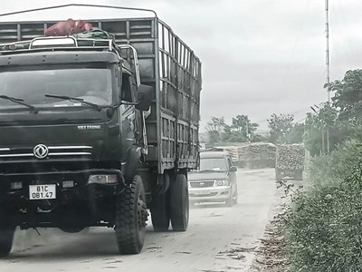 Xã Phú An (Gia Lai): Nhiều xe trọng tải chở gỗ keo gây ô nhiễm môi trường khu dân cư