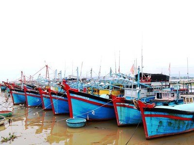 Khánh Hòa chủ động ứng phó với vùng áp thấp trên Biển Đông