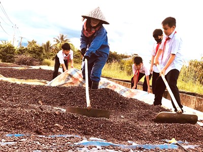 Đất đỏ bazan kể chuyện ước mơ học trò