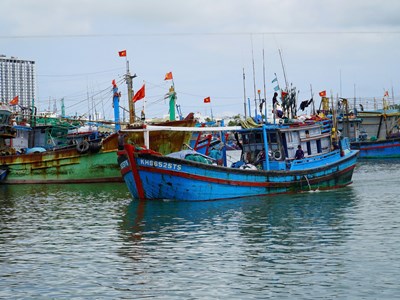 Khánh Hòa khẩn cấp cấm biển ứng phó bão số 15 