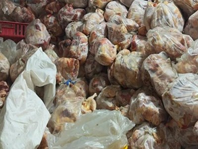  Thu giữ hơn 10 tấn gà không nguồn gốc tại một cơ sở giết mổ lậu