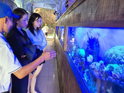Kỳ thú Thủy cung Trí Nguyên trên vịnh Nha Trang