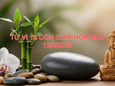 Tử vi 12 con giáp ngày 12.8.2025: Ai may mắn, ai đối diện thử thách?