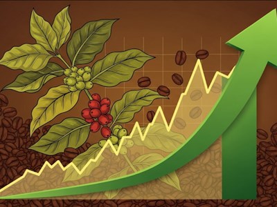 Giá cà phê hôm nay 14.8.2025: Trong nước áp sát 108.200 đồng/kg