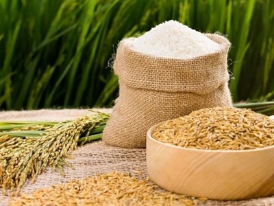 Giá nông sản hôm nay 17.8.2025: Cà phê tiếp tục bứt phá, hồ tiêu giảm nhẹ, lúa gạo ổn định