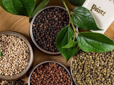 Giá nông sản hôm nay 18.8.2025: Cà phê giữ đỉnh, tiêu tăng sốc