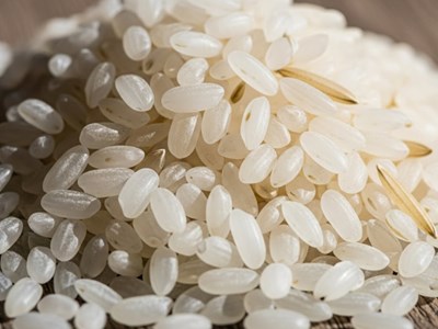 Giá lúa gạo hôm nay 4.9.2025: Bình ổn trong nước, xuất khẩu neo vững