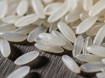 Giá gạo hôm nay 5.9.2025: Ổn định nội địa, xuất khẩu neo vững