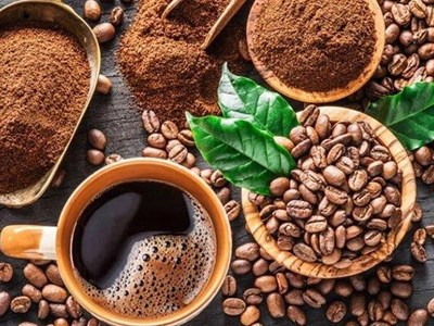 Giá cà phê hôm nay 9.9.2025: Trong nước phục hồi, thế giới bật tăng mạnh