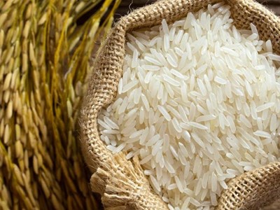 Giá lúa gạo hôm nay 9.9.2025: Ít giao dịch, giá cơ bản giữ nguyên