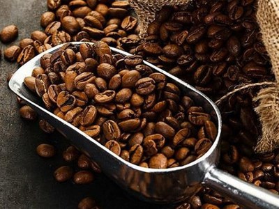 Giá cà phê hôm nay 17.9.2025: Trong nước tăng vọt