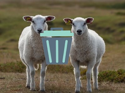 Cách xóa ảnh trùng lặp nhanh nhất trên điện thoại