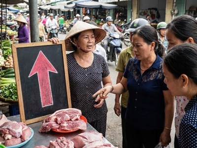 Giá heo hơi hôm nay 5.12: Miền Bắc lên 61.000 đồng/kg