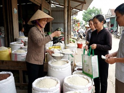 Giá lúa gạo hôm nay 5.12: Nội địa ổn định, xuất khẩu giảm nhẹ