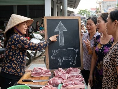 Giá heo hơi hôm nay 6.12: Tiếp tục tăng nhẹ trên cả nước