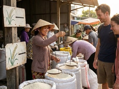 Giá lúa gạo hôm nay 9.12: Nội địa ổn định, gạo thơm tăng giá