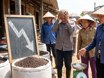 Giá hồ tiêu hôm nay 19.12: Giảm mạnh, tuột khỏi mốc 150.000 đồng/kg