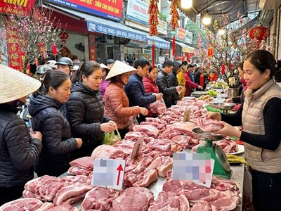 Giá heo hơi hôm nay 25.12: Tiếp tục lập mặt bằng cao mới