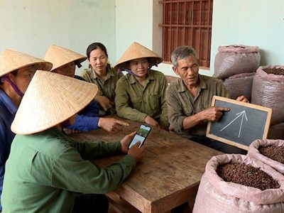 Giá hồ tiêu hôm nay 25.12: Tăng nhẹ, nông dân tiếp tục giữ hàng