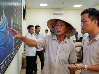 Giá cà phê hôm nay 28.12: Neo cao trên mốc 98.000 đ/kg