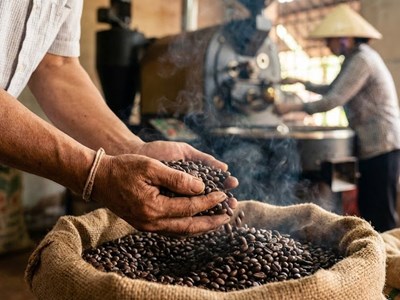 Giá cà phê hôm nay 29.12: Neo cao gần 99.000 đ/kg