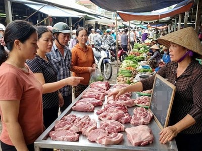 Giá heo hơi 1.1.2026: Thị trường giữ nhịp cao đầu năm