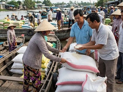 Giá lúa gạo hôm nay 5.1: Chưa có lực đẩy tăng giá