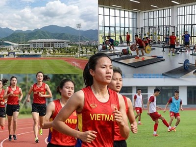 Chính phủ nâng chế độ lương, thưởng toàn diện cho VĐV, HLV từ năm 2026