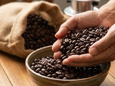 Giá cà phê hôm nay 11.1.2026 điều chỉnh nhẹ