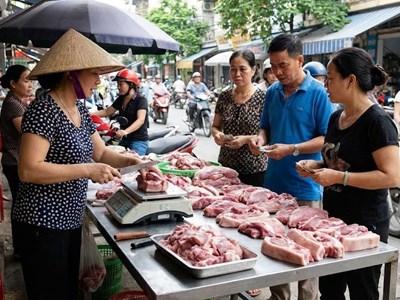 Giá heo hơi hôm nay 12.1: Thị trường giữ nhịp ổn định