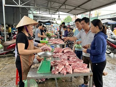 Giá heo hơi hôm nay 13.1: Neo cao trước Tết