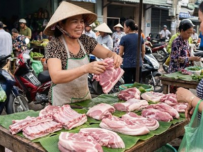 Giá heo hơi hôm nay 16.1: Nhiều nơi tăng nhẹ