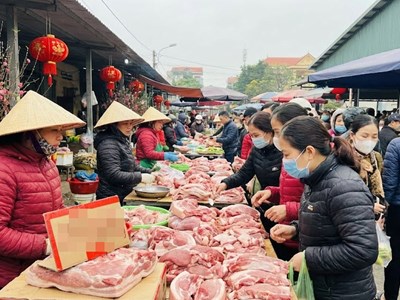 Giá heo hơi hôm nay 19.1: Miền Bắc giữ đỉnh, miền Nam tăng nhẹ