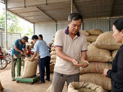 Giá cà phê hôm nay 22.1: Thị trường chờ sóng mới sau Tết