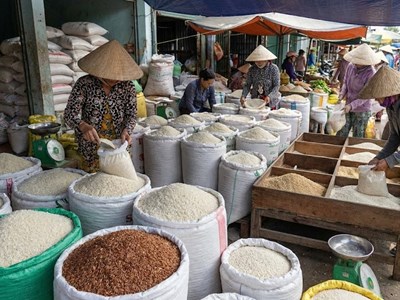 Giá lúa gạo hôm nay 25.1: Thị trường ổn định cận Tết